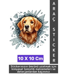 Özel Tasarım Araç Dış Modifiye Eğlenceli Yaratıcı Şık 3D Evcil Hayvan Kedi Köpek Sticker 10 X 10 Cm