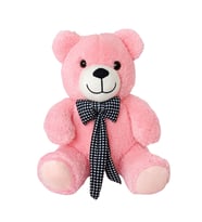 Peluş Ayıcık