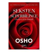 Seksten Süperbilince