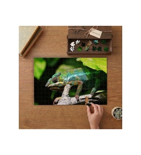 Bukalemun Orman Hayvanı Tasarımı 240 parça Ahşap Puzzle Ahşap Kutuda MP01958