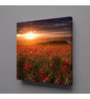 ÇİÇEK TARLASI KANVAS TABLO 80x80cm (Karışık)