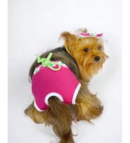 Fruit Party Kemique's Secret Köpek İç Çamaşırı Regl Külot Don (Pembe)