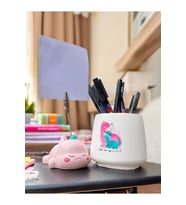 Sevimli Yorgun Pembe Dinozor Temalı SET Fotoğraf Not Tutacağı ve Dino Baskılı Kalemlik Hediyelikl