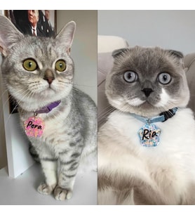 "Pati" Şeklinde Tasma - Zilli - Ayarlanabilir - Isimli Kedi Tasması / Küçük-Orta Irk Köpek Tasması