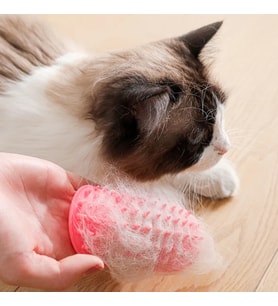 Pribor Kedi Köpek Köşe Kaşıyıcı ve Tüy Temizleyici Aparatı 1 Adet (Karışık)