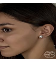 S-warovski Crystal Taşlı Gümüş Çivili Kadın Küpe
