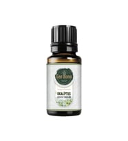 Okaliptus ( Oda Kokusu Aroma Terapi Buhurdanlık / Difüzör Yağı ) 10 ML