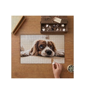 Yatan Sevimli Köpek Tasarımı 240 parça Ahşap Puzzle Ahşap Kutuda MP02044