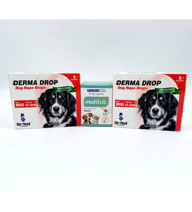 21-40kg Köpek EnseDamla 2 kutu + Pharmased Multivitamin