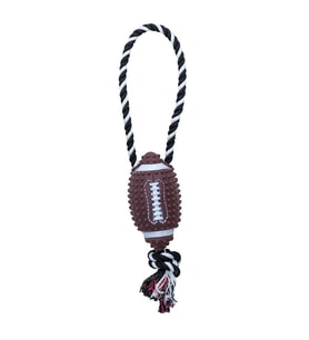 Eastland İpli Plastik Rugby Topu 15 Cm