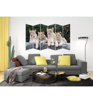 ASLAN MDF TABLO-2352 MODEL-B