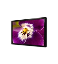 Mor Çiçek Makro Çekim Çerçeveli Mdf Tablo