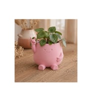 Alvera Smiley Face Planter – 3D Baskı Gülümseyen Karakterli Saksı-Pembe
