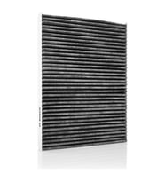 Polen Filtresi P207 06 C3 09 Ds3 10 Karbonlu 1987432436