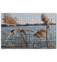 Cakapuzzle Göl Kıyısında Sazlar  Puzzle Yapboz MDF (Ahşap) (120 Parça)