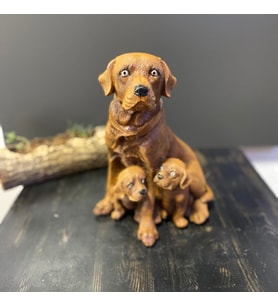 Çift 2 Yavrulu Dekoratif Retriever Köpek