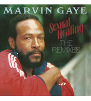 Marvin Gaye Sexual Healing: The Remixes - Plak (Standart)