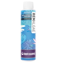 Reeflowers RemAlgae 1000 ml. Skt:12/2027 Yosun Giderici Tatlı Tuzlu ve Bitkili Akvaryumlar için