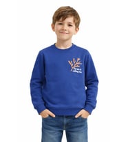 Erkek Çocuk Önü Baskılı Sweatshirt BGL-ST05238 (İndigo)