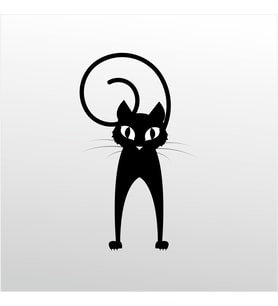 Folyo Sticker Şaşkın Kedi 100cm Uzunluk (Karışık)