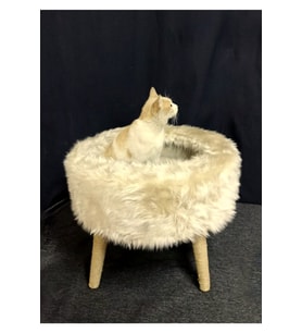 Rahat Kedi Yatağı ve Evi, Tırmalama Alanı ile Konfor Sunar