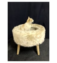 Rahat Kedi Yatağı ve Evi, Tırmalama Alanı ile Konfor Sunar