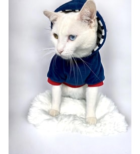 Neo Tommie Kapşonlu Kedi Sweatshirt Kedi Kıyafeti Kedi Elbisesi Kedi Giyim  (Lacivert)