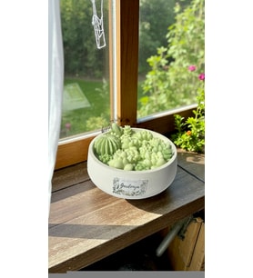 THE AURA HOME GARDENYA KOKULU MUM (Orman Yeşili)