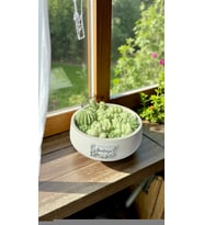 THE AURA HOME GARDENYA KOKULU MUM (Orman Yeşili)