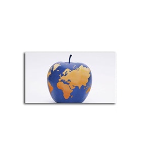 DBSanatevi Elma Şeklinde Dünya Tablo 35 X 35 Cm