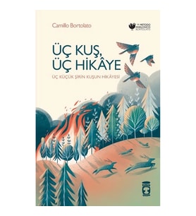 Üç Kuş, Üç Hikaye