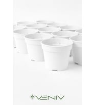 5 Adet Saksı Yetiştirme Çoğaltma Saksısı 8.5 cm