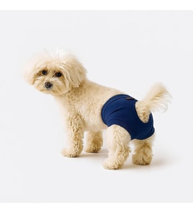 ve Köpek Kıyafeti & Külodu Lacivert Külot XL