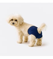 ve Köpek Kıyafeti & Külodu Lacivert Külot XL