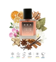 204 - Coco Mademoiselle 50ml Kadın Parfüm (Standart)