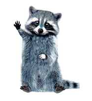 Rakun Gömlek Çöp Panda Tablo Ahşap Poster Dekoratif