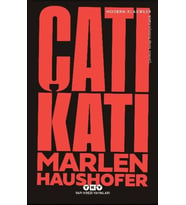 Çatı Katı
