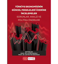 Türkiye Ekonomisinin Güncel Meseleleri Üzerine İncelemeler Sorunlar, Analiz ve Politika Önerileri