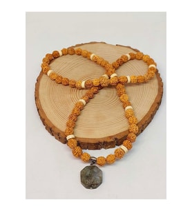 Labradorit Taşlı Rudraksha Tohum Kolye Dolama Bileklik 8mm (49730)