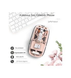Pembe 501 Bt+ Wireless Mouse ZR1133