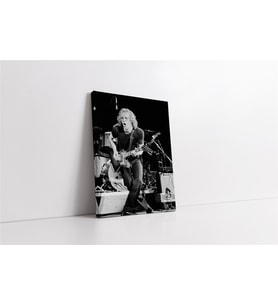 Warren Zevon