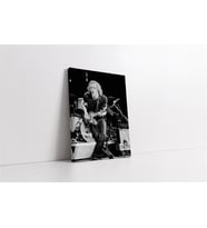 Warren Zevon