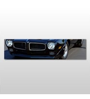Ford Kanvas Tablo 270x90cm (Karışık)