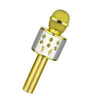 Karaoke Mikrofon Aux Usb Ve Sd Kart Girişli Bluetooth Mikrofon Altın