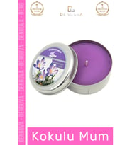 #Mum Dekoratif Hediyelik Şık Modern Tasarım Metal Kutu Kokulu Mum Oda Kokusu 120G Teneke Kutu