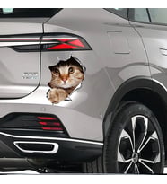 Renkli Kedi Araba Sticker yapıştırması 16cm