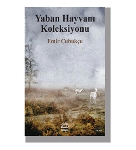 Yaban Hayvanı Koleksiyonu