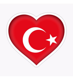 Türkiye Bayrak Sticker oto Etiket Araba Yapıştırma 16CM