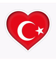 Türkiye Bayrak Sticker oto Etiket Araba Yapıştırma 16CM
