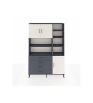 Arges Dolap 9 Raflı 4 Çekmeceli 3 Kapaklı 132x30x195 Antrasit-Aytaşı/Antrasit